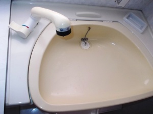main_koupelna-s-kazetovou-toaletou-se-splachovanimvyklopnym-umyvadlemvysuvnou-sprchou-s-teplou-vodousprchovou-vanickouuloznym-prostorem-a-zrcadly-10241.jpg