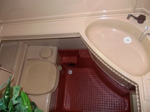 main_koupelna-s-kazetovou-toaletou-se-splachovanimumyvadlemvelkymi-zrcadlyuloznym-prostorem-a-sprchovou-vanickou-8281.jpg